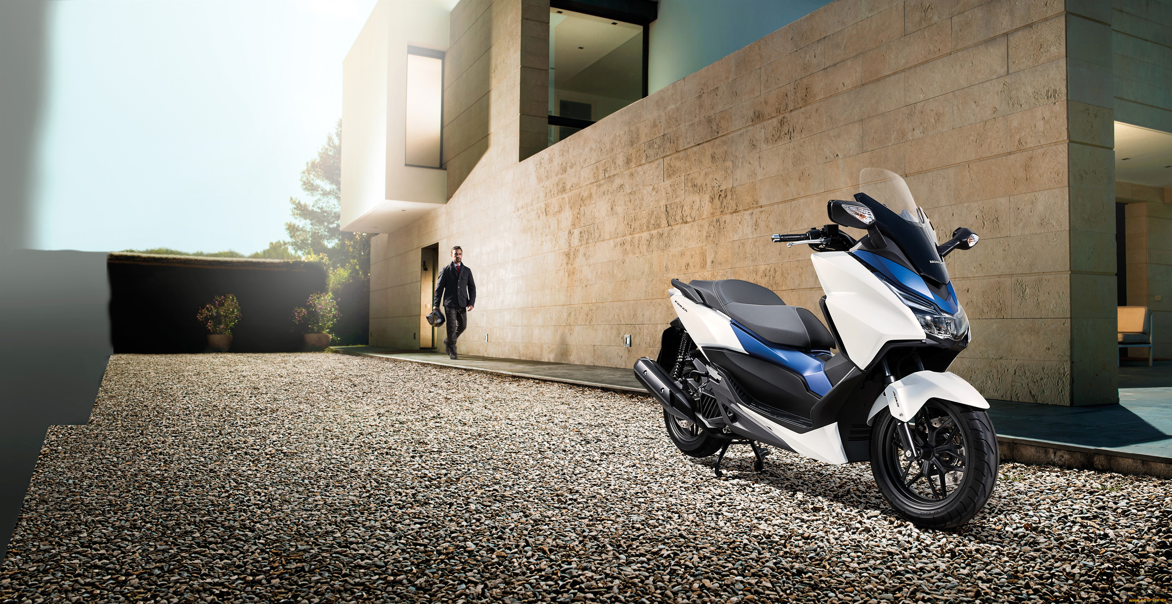 , , honda